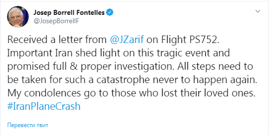 Глава МИД Ирана пообещал Евросоюзу надлежащее расследование авиакатастрофы самолета МАУ